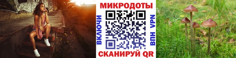 гидра зеркало  Хадыженск  Галлюциногенные грибы MAGIC MUSHROOMS  магазин   